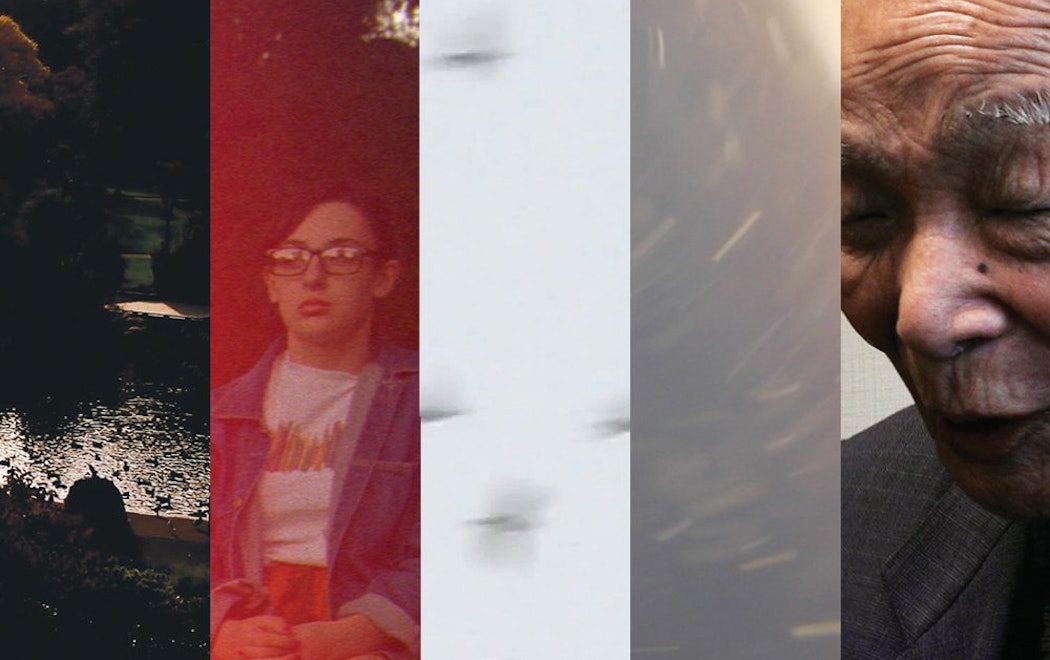 An image made up of five stills cut up into strips creating a horizontal collage. One stripe shows ducks on a lake, a person sitting on a chair, blurred birds, blurred fragments, a close up of a person's face.